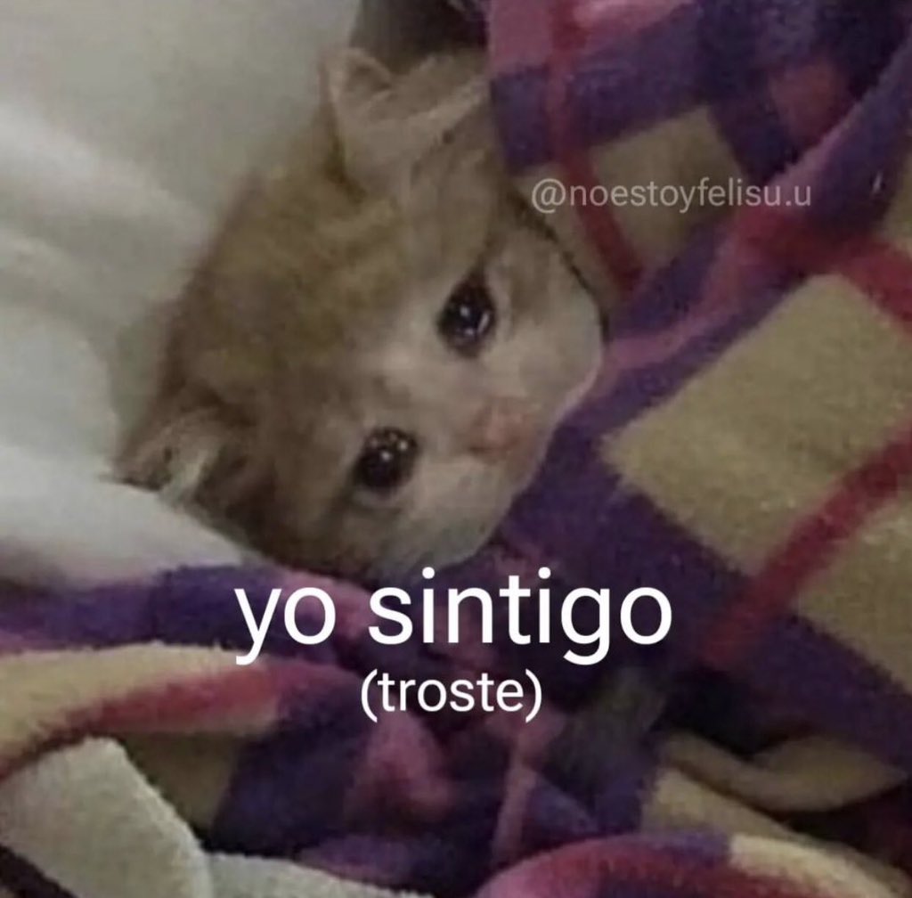 cxrrly's tweet photo. Tal cual https://t.co/CndhvSdCpm