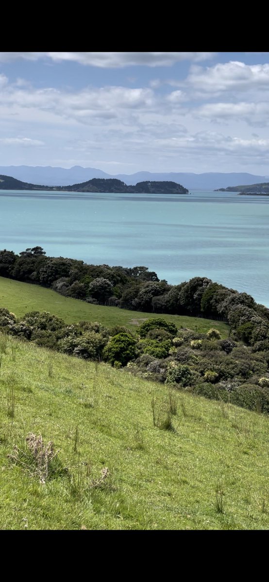 Simona_X71's tweet photo. Our Sunday hike done!๐ฅด๐ฉ๐
๐
Absolutely shattered, itโs definitely beer oโclock now!๐๐ฝ๐ป๐๐๐คฃ #bushwalk #seaviews #farmland #aucklandcity https://t.co/7ziEPivqgW
