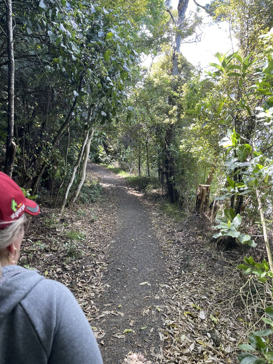 Simona_X71's tweet photo. Our Sunday hike done!๐ฅด๐ฉ๐
๐
Absolutely shattered, itโs definitely beer oโclock now!๐๐ฝ๐ป๐๐๐คฃ #bushwalk #seaviews #farmland #aucklandcity https://t.co/7ziEPivqgW
