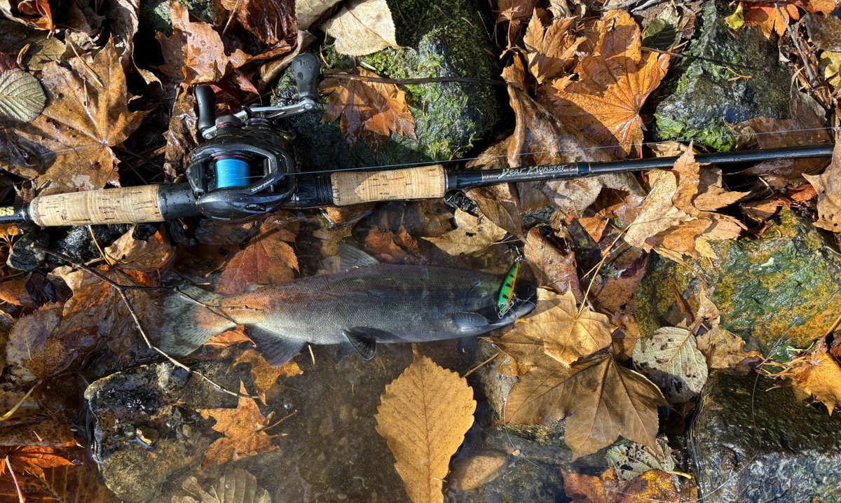 R__fishing's tweet photo. 最高すぎたぁぁぁぁ!初めての屈斜路湖遠征!!無事釣ることが出来て良かった! #ヒメマス #屈斜路湖 #DearMonster #MX6 https://t.co/o0qPmb8jvJ