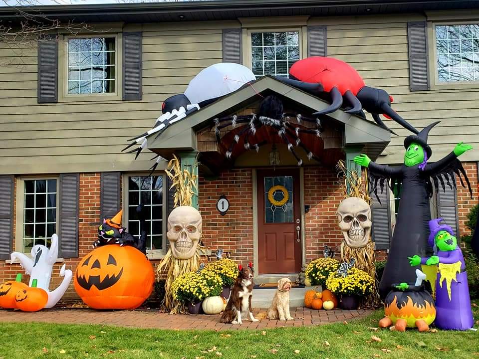 AgilitywAmanda's tweet photo. Some fun Halloween memories with Winnie and Joey the Muppet checking out neighbourhood decorations ๐๐ป๐งโโ๏ธ
#halloweendogs #dogphotos #dogswithhalloweendecorations #funwithdogs https://t.co/nd8IuhXIzu