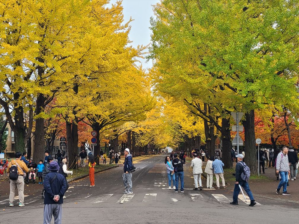 LaboWds's tweet photo. 11月2日(土)に北大で開催された令和6年度電気・情報関係学会北海道支部連合大会にて、修士１年生が研究発表をおこないました
https://t.co/91hWK7hgrX https://t.co/C0krDWnVBy