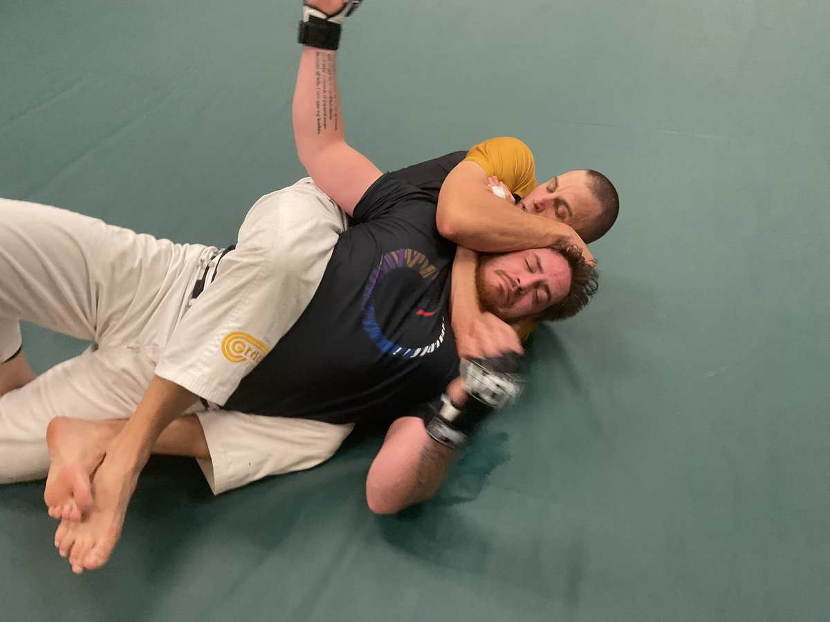 Gracie Appleton tweet media