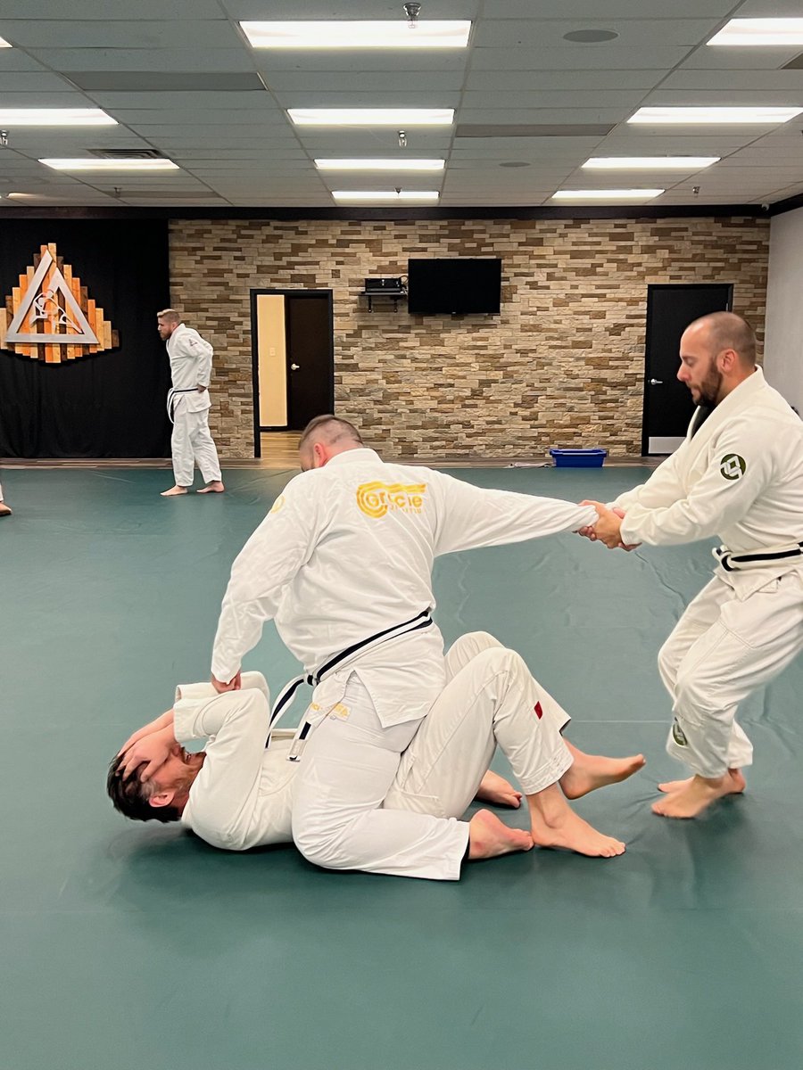 Gracie Appleton tweet media