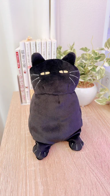 ニトリのスマホクッションの黒猫さん
なんか少し既視感というか他人ではない感というか、お迎えせねばと思ってしまったので買いました🐈‍⬛ 