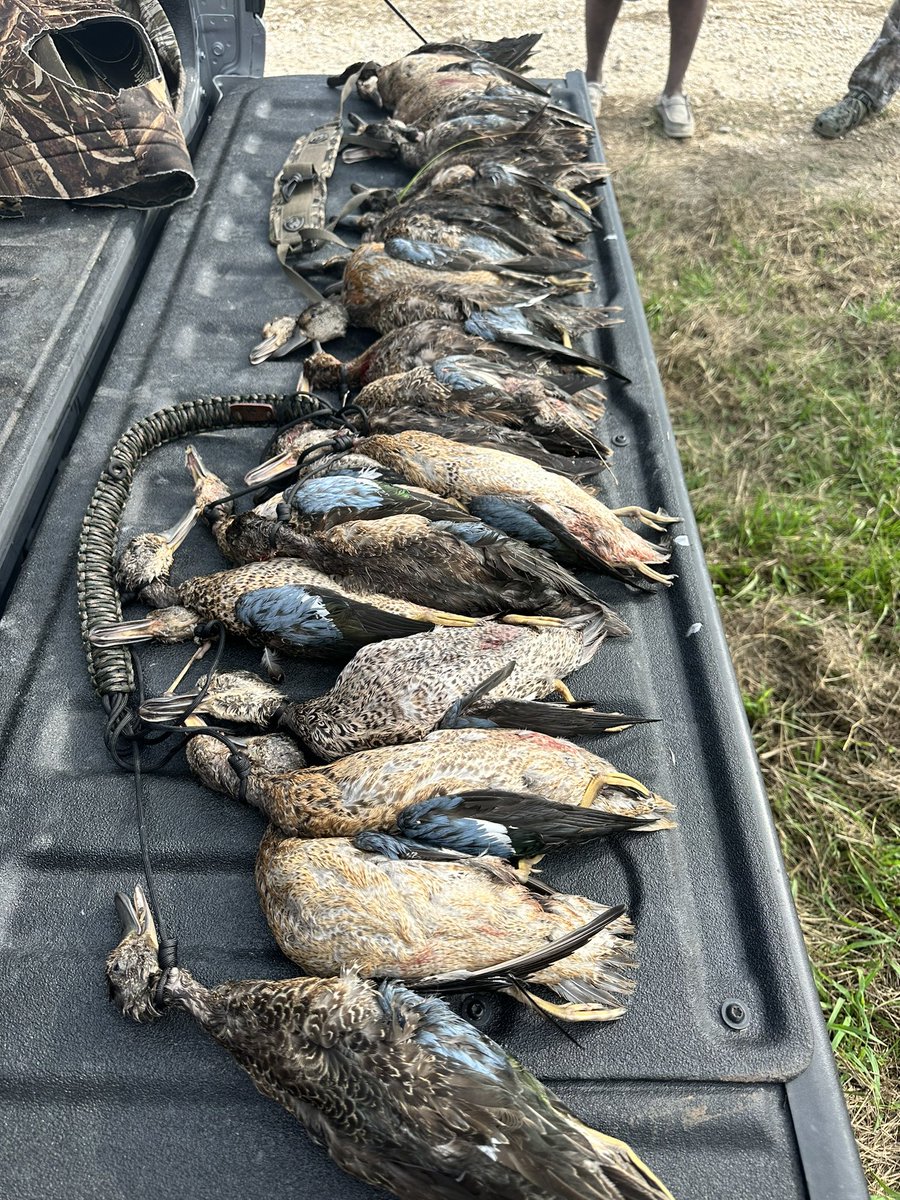 4 man limit on public land this morning.