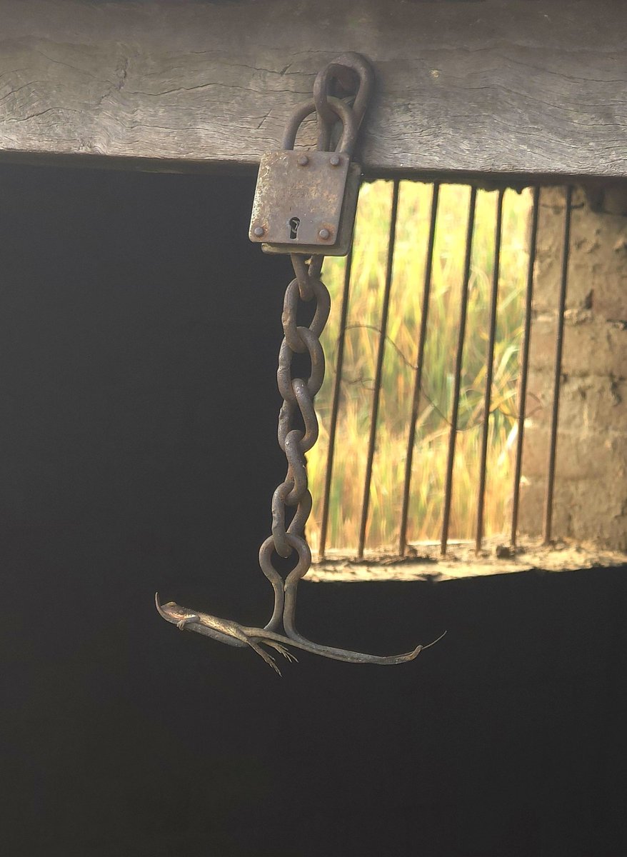 #NatureIsLife Everyone like to find that special place and relax #India