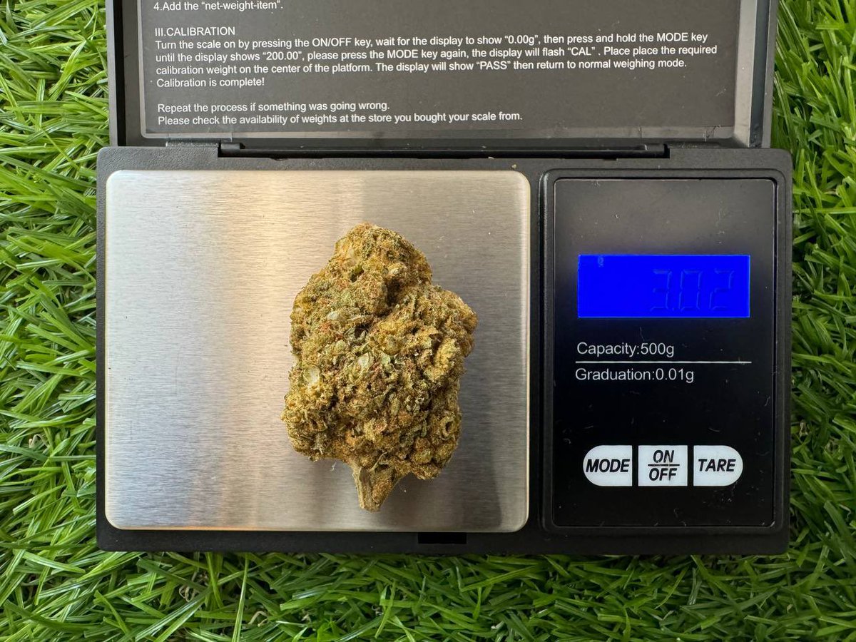 Chemdawg aka Chemdog, as dense as the way it looks😍

#malaysia420 #weedmalaysia #ganjamalaysia #klbuds #tenang420 #stonermalaysia

Don’t miss your chance to try it out!
Link in Bio.