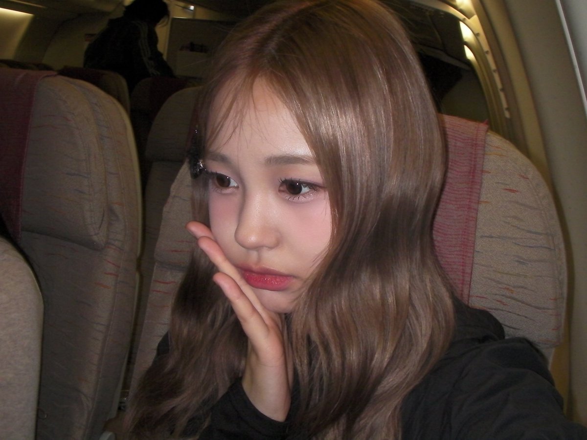 241102] #Jihan #지한 Post 🐰 vintage camera photo collection