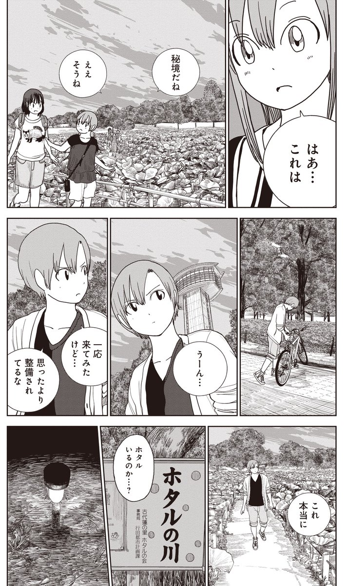 埼玉には「ホタル」も見られる秘境がある。(5/7)
#埼玉 #古代蓮の里 