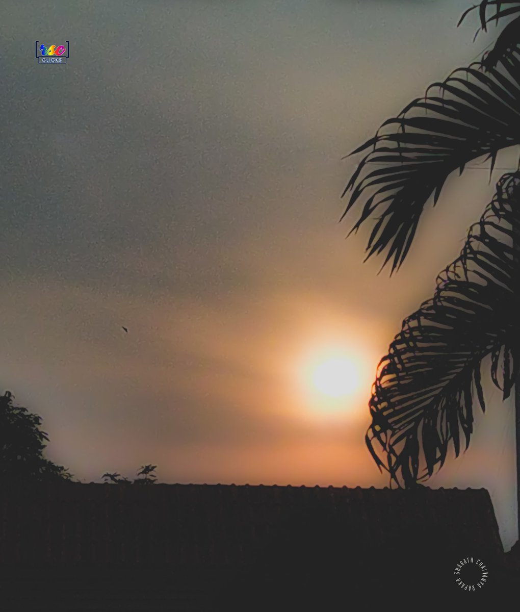 rscworkhorse89's tweet photo. When at calmness, just shine.
#nature #sun #windowshots
#Photography https://t.co/iDwfsEjPVL