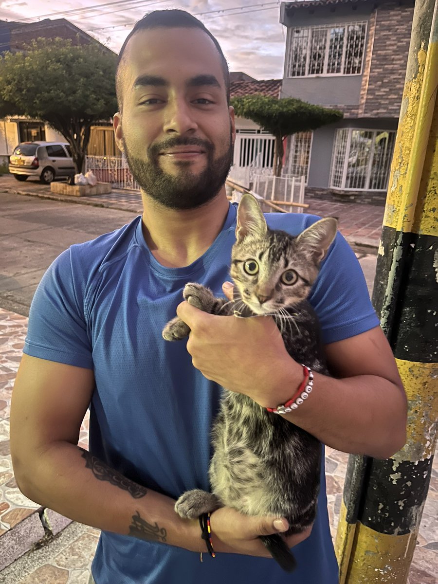ALEJO100399's tweet photo. 😸😸 https://t.co/DsyOWQOhho