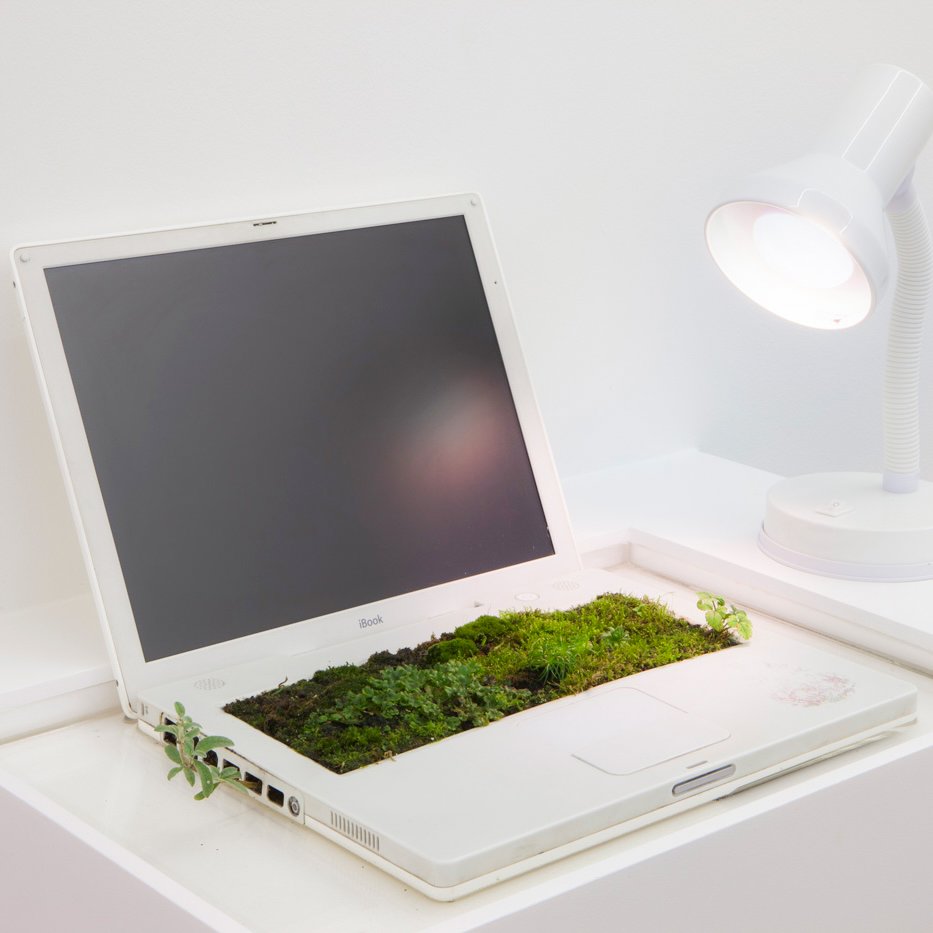 blankspac_e's tweet photo. iBookgarden, Michel Blazy (2014) https://t.co/oQ5DJzYERw