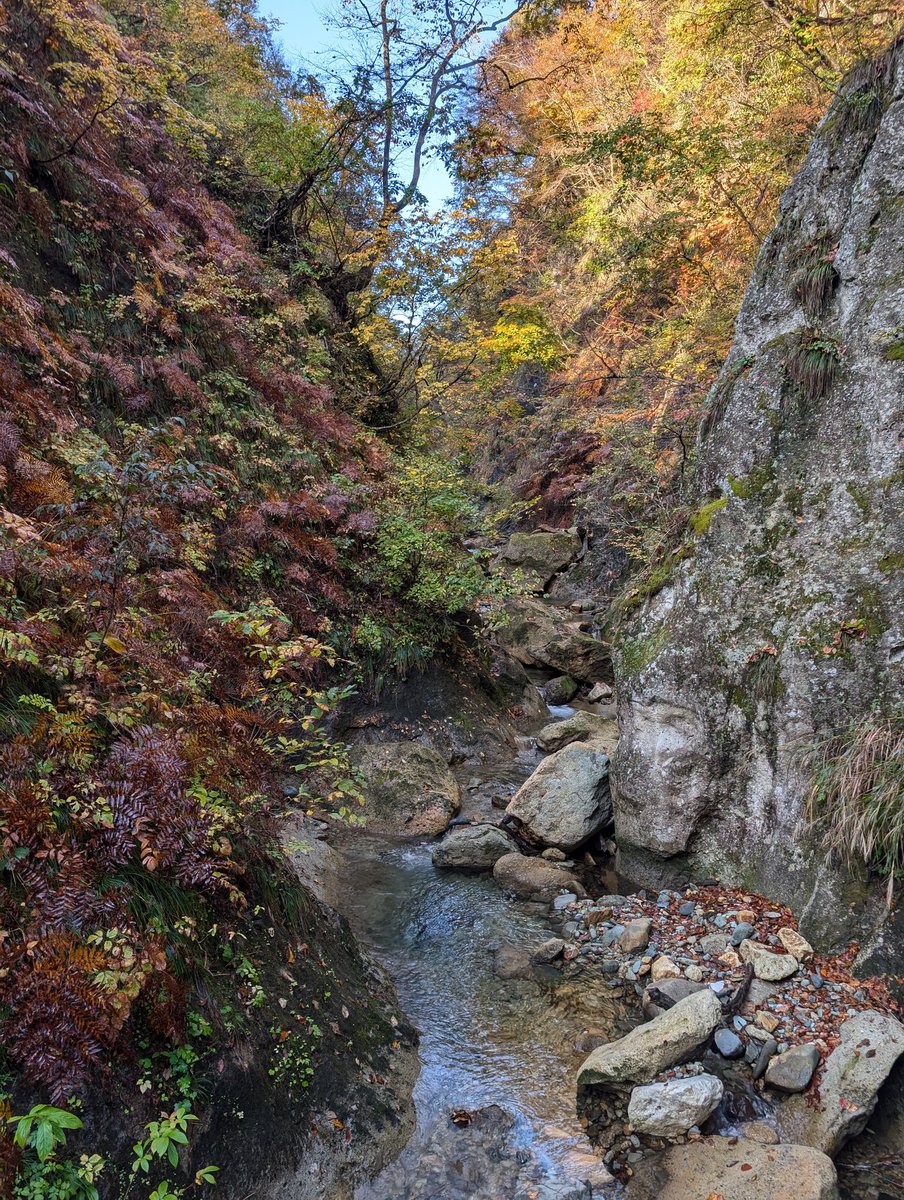 enasanff's tweet photo. 朝5時発で紅葉🍁を！ https://t.co/mGCVzAMGzW