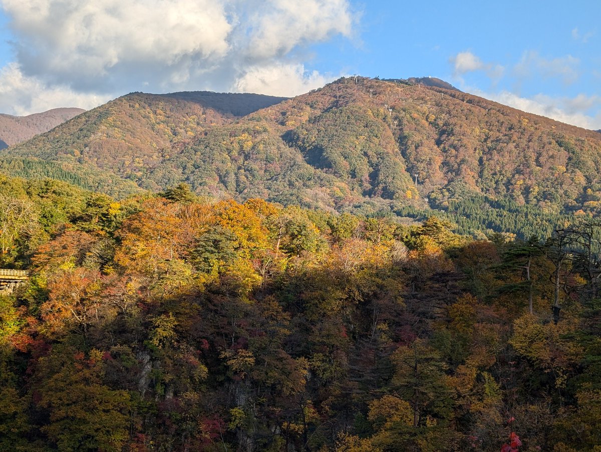 enasanff's tweet photo. 朝5時発で紅葉🍁を！ https://t.co/mGCVzAMGzW