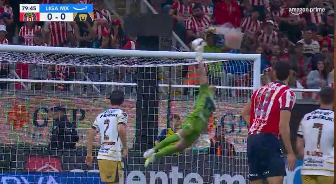 Pocos equipos en México pueden darse el lujo de tener 2 porteros titulares.

Pumas es uno de ellos.