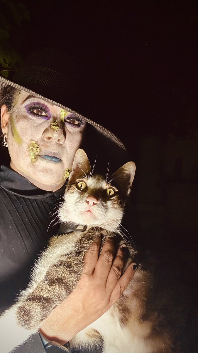 mercado021's tweet photo. #ecdqemsd el gato colapso y la @MaddaFkr https://t.co/GJuMX9kW3h