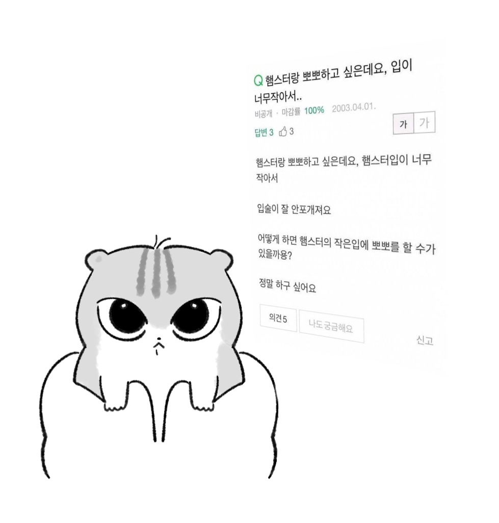 시몽키 tweet media