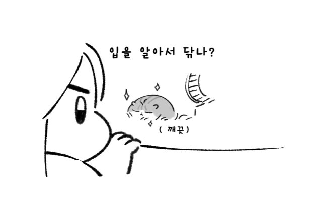 시몽키 tweet media