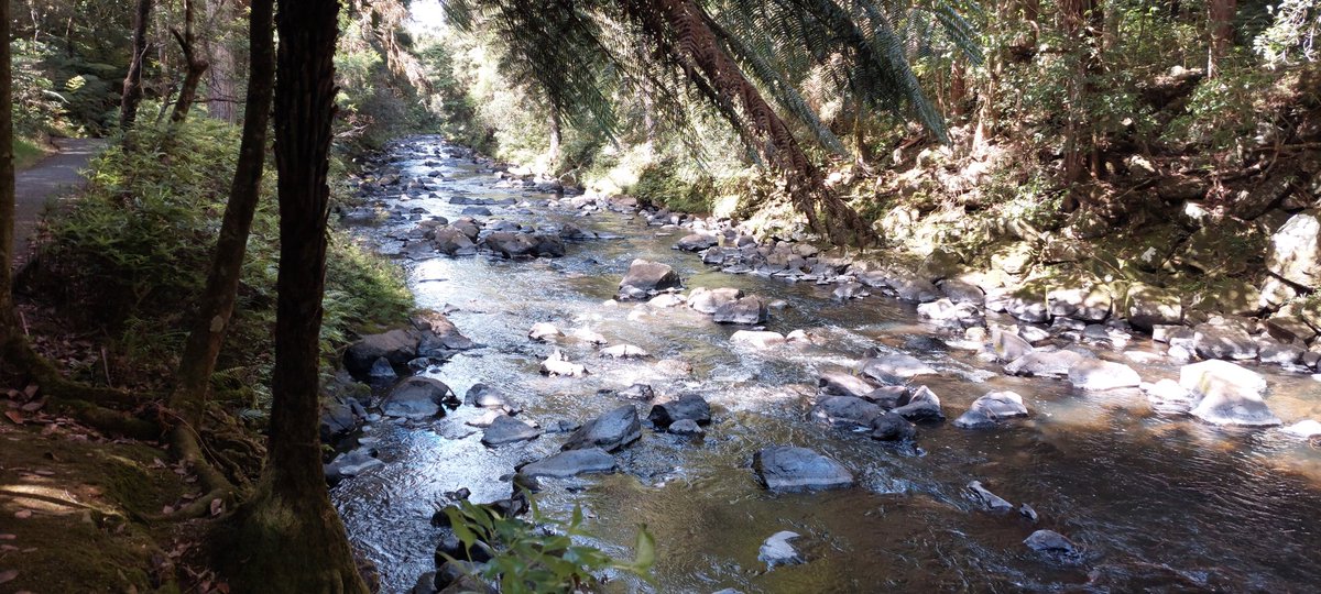 Saylight2's tweet photo. the river here is really beautiful #furry #fursuit #furryfandom https://t.co/3KztMX4yJr