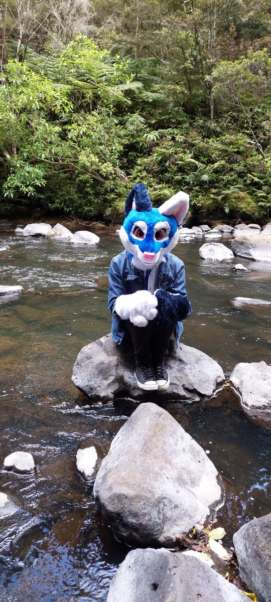 Saylight2's tweet photo. the river here is really beautiful #furry #fursuit #furryfandom https://t.co/3KztMX4yJr