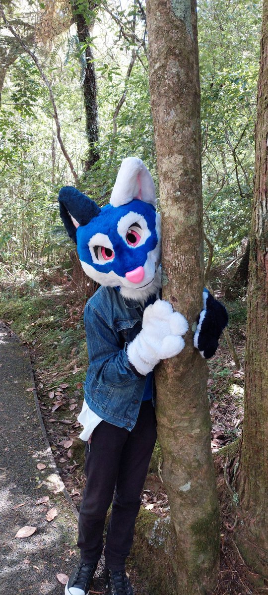 Saylight2's tweet photo. the river here is really beautiful #furry #fursuit #furryfandom https://t.co/3KztMX4yJr