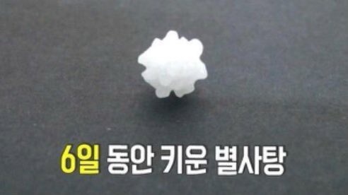 applebbang0108's tweet photo. 병주 입꼬리보조개봐ㅋㅋㅋㅋㅋㅋㅋㅋㅋㅋ똑같이자람 https://t.co/bX3WBg6Nsh