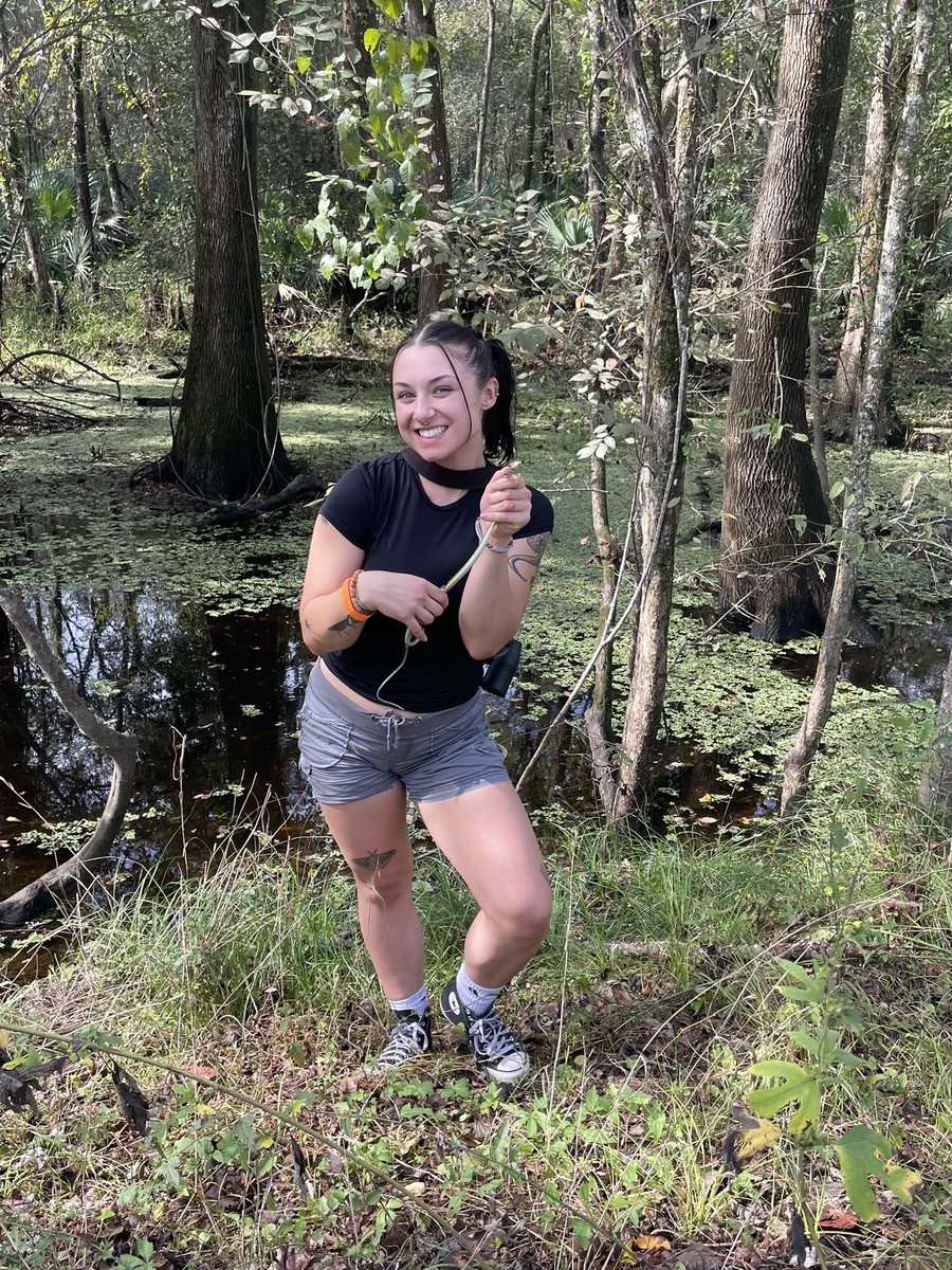 Dr. Laura Lagomarsino tweet media