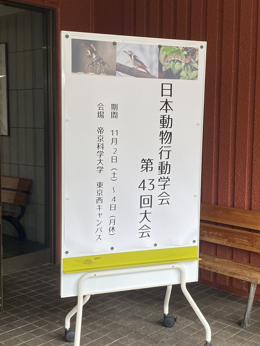 siokara1204's tweet photo. まあ動物行動学会だから犬さんぽさせてる人もいるよな https://t.co/bsCM8waDM1