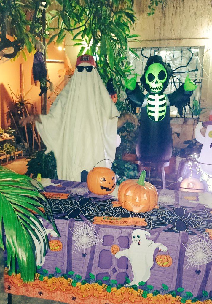 alanisrocket's tweet photo. Mi disfraz de halloween la resistencia existe https://t.co/wRLL4fw6Ea