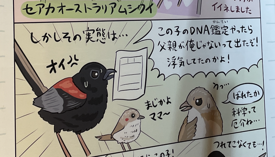 濱尾先生「多くの鳥で浮気、不倫に相当する行動、時に子の遺棄や子殺しといった行動も進化している。これらの行動が状況によっては子を多く残すことにつながるからだ。」(記事より)
そんなドライでシビアで奥深い「鳥の繁殖」を妙に元気よく描いた「鳥のひみつ」、#鳥展 でぜひチェックしてくれよな