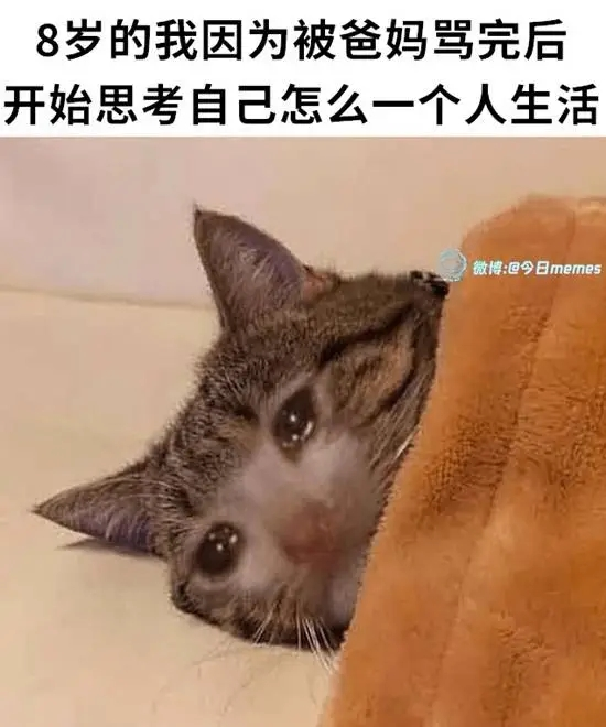 雲鳩 (@cldeop) on Twitter photo 