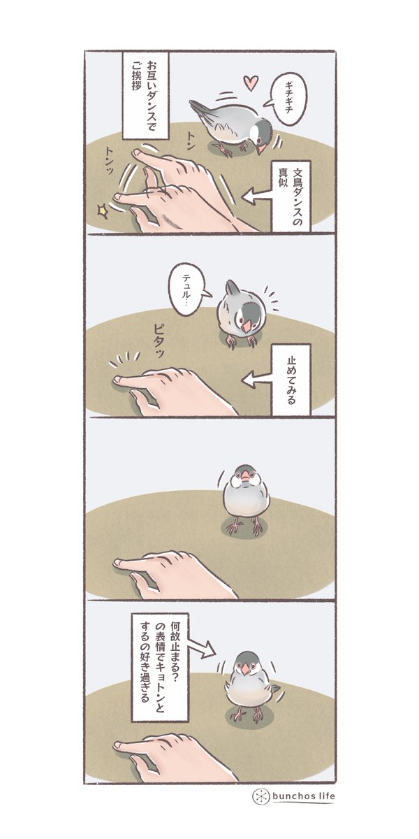 ご挨拶の指を止めると「何故止まる?」の表情でキョトンとするのが好き過ぎる
#文鳥 
#4コマ漫画

※2025文鳥カレンダー予約販売中!
SUZURIグッズも追加しました!
ハイライトから見てね✨ 