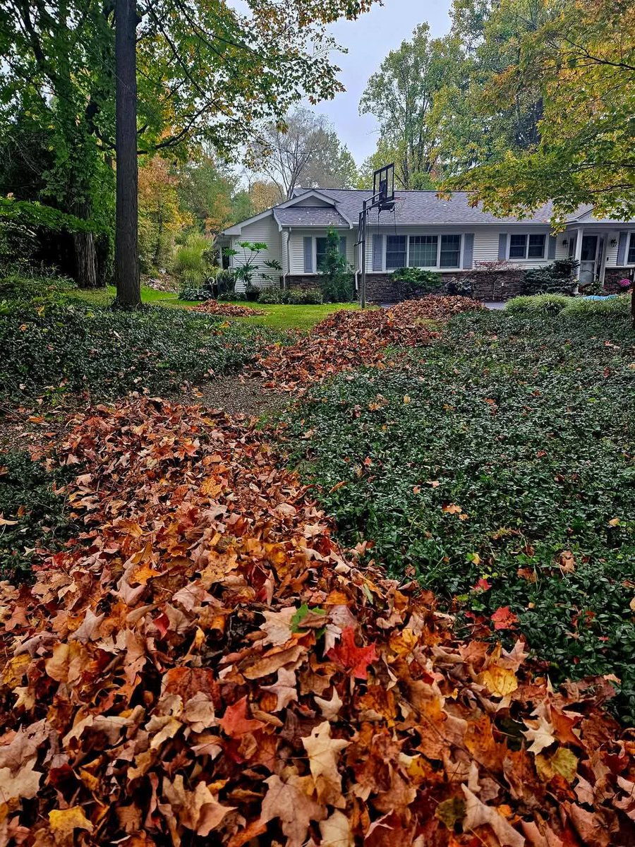 kevingoodmanBBN's tweet photo. It's not 2 late 2 schedule your fall leaf &amp;yard cleanups
Our son Danny has a few spots left 4 his Crew 2 schedule Ur clean up
@DGPicturePerfect Instagram
#Landscaping  #TheHeights #FallLeafCleanUp #ChagrinValley
Schedule Your Fall Leaf 🍂 Cleanup Now 
Free Estimate 216.440.5449 https://t.co/H4UeYVhtqT