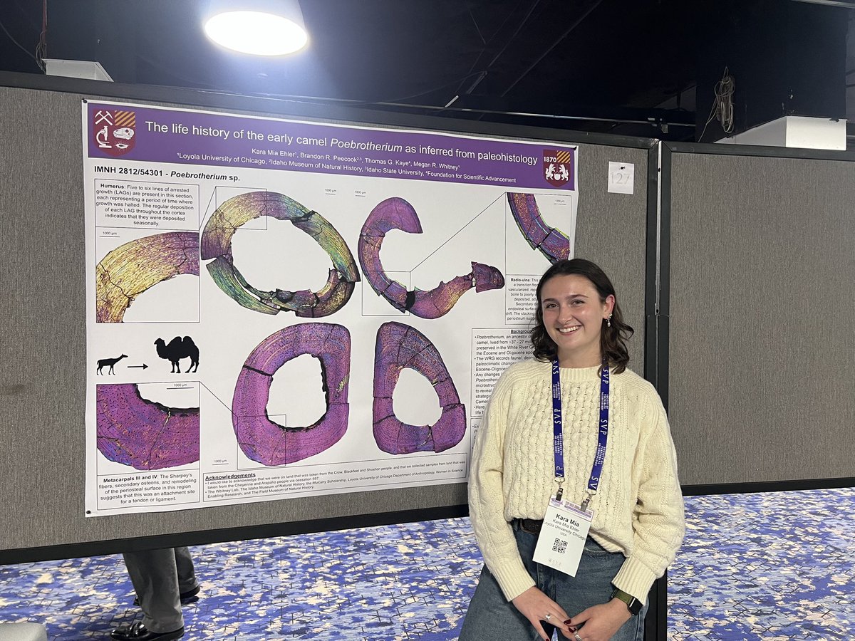 Megan Whitney tweet media