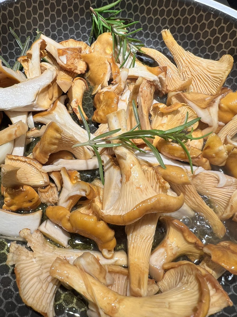 Dr. Lucia Carbone 🇮🇹🦧🦍🔬🧬 tweet media