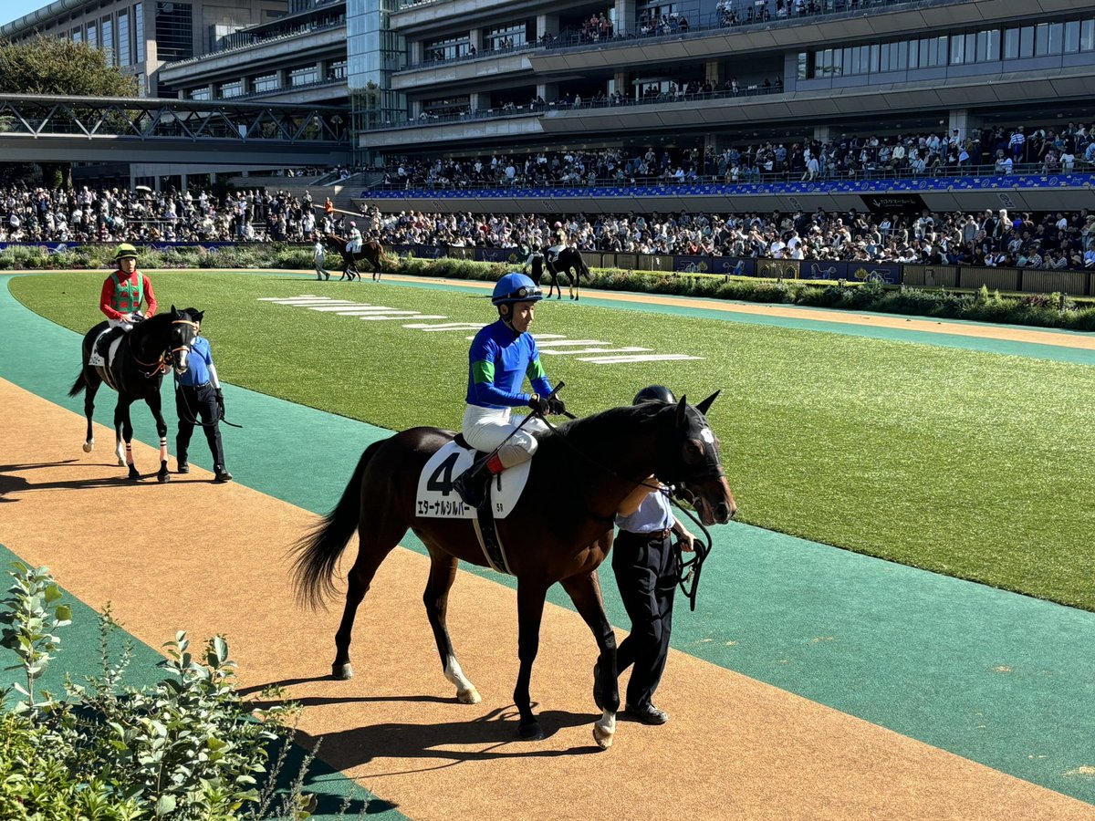 saj10____'s tweet photo. #エターナルシルバー

見せ場ありのいいレース
よく頑張った！！！ https://t.co/b2H9xtHsLQ