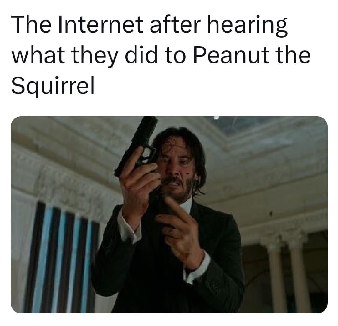PatriotNews76_'s tweet image. #SquirrelArmy 🐿️🥜