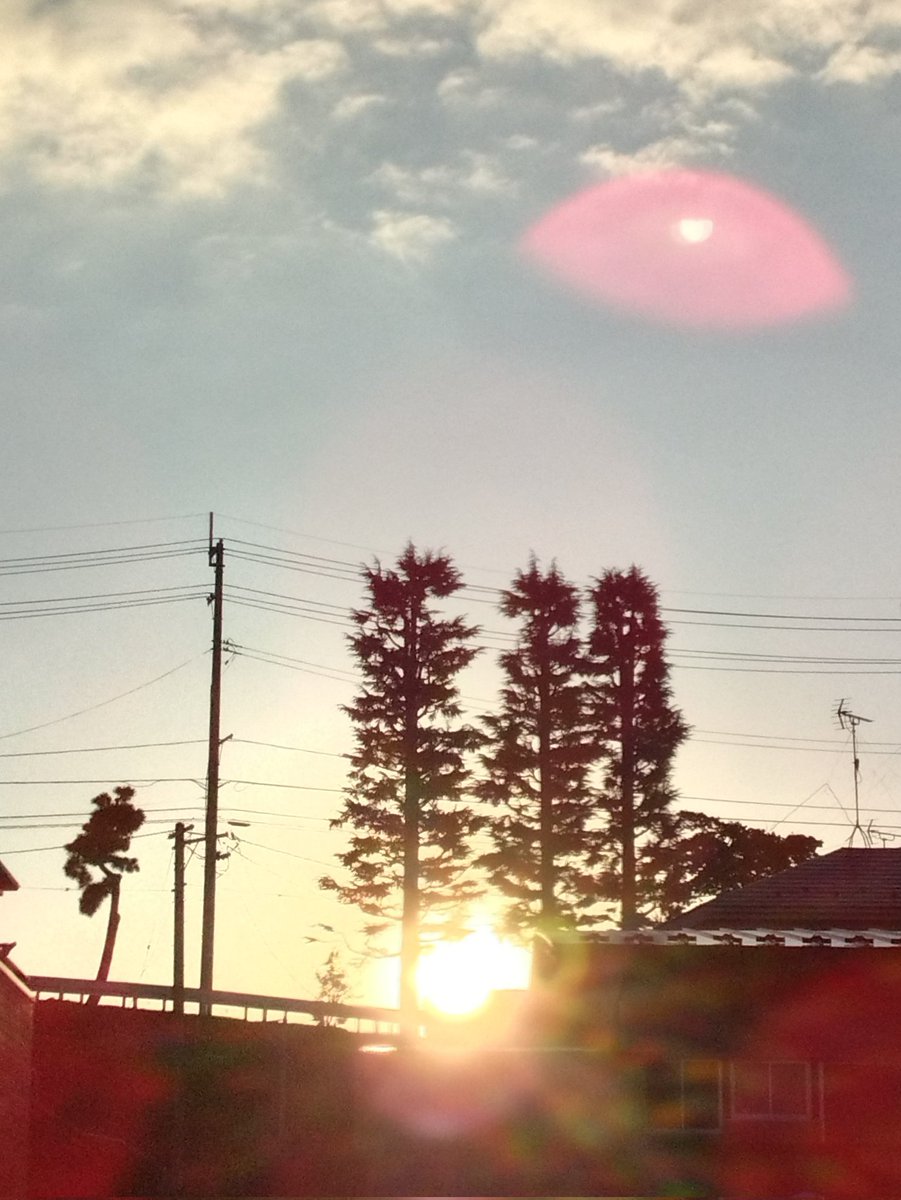sakuradon's tweet photo. https://t.co/64ugNnD53m