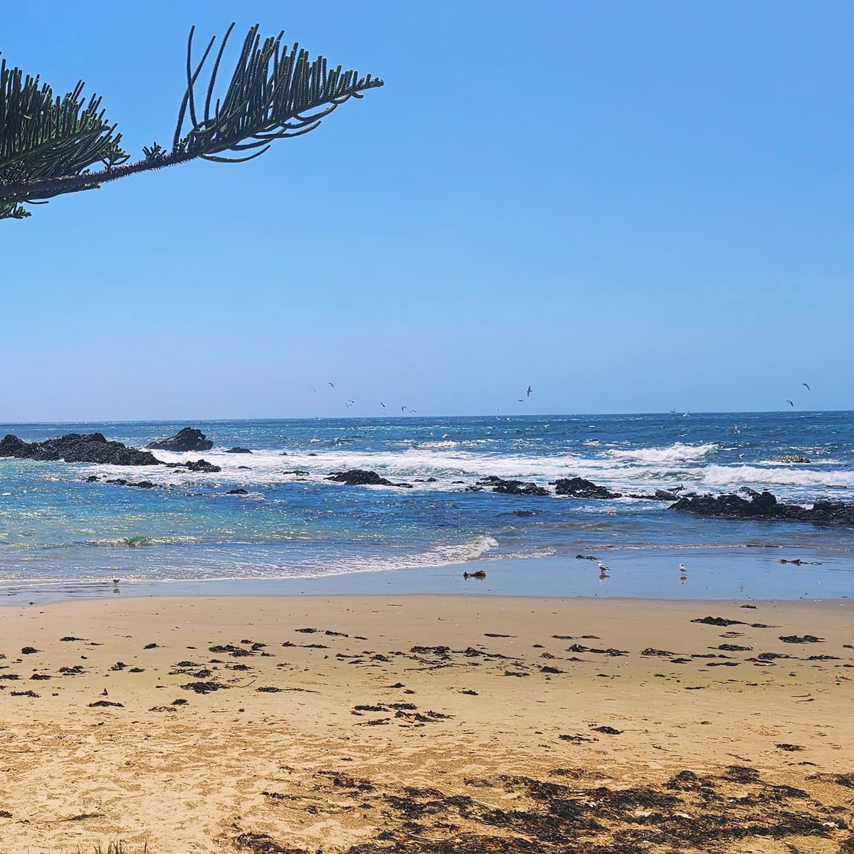 BeastingBeauty tweet media