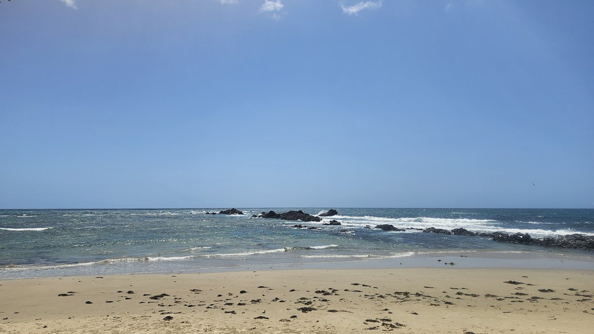 BeastingBeauty tweet media