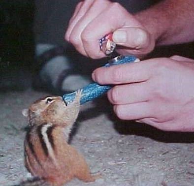 This little guy will be missed 

RIP Legend

Here’s Peanut back in 09 blazing #CTESPN