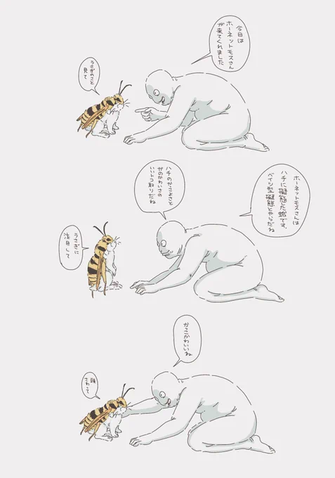 虫見て🐝🦋🐇 