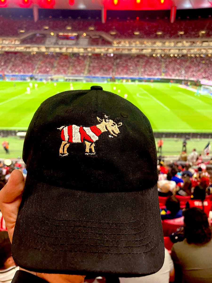 luis_karol's tweet photo. @futbolmxpaint  gracias por mi gorra que hoy se estrenó en @Chivas 🆚 @PumasMX https://t.co/xEDdE7h0OM