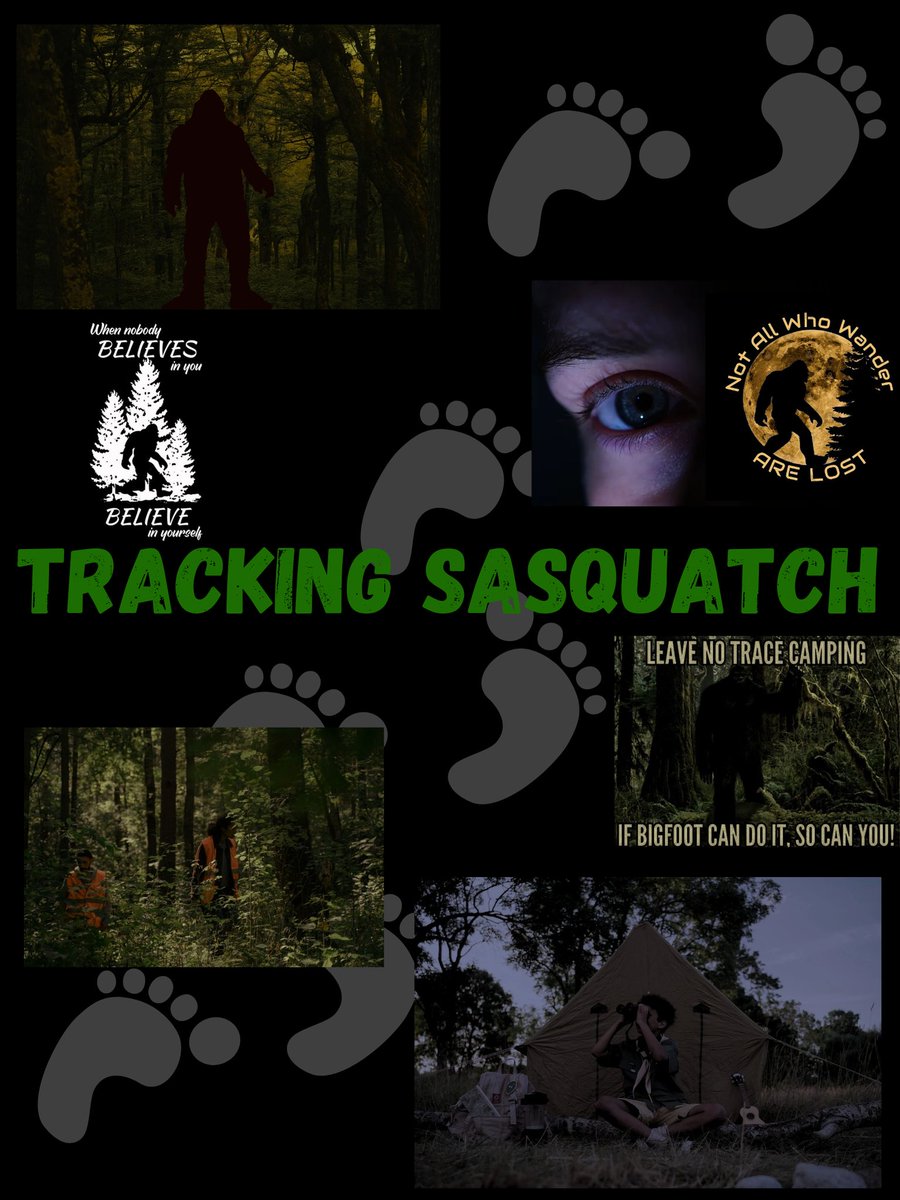 Crystal, Author ✍️Editing & Writing✍️ tweet media