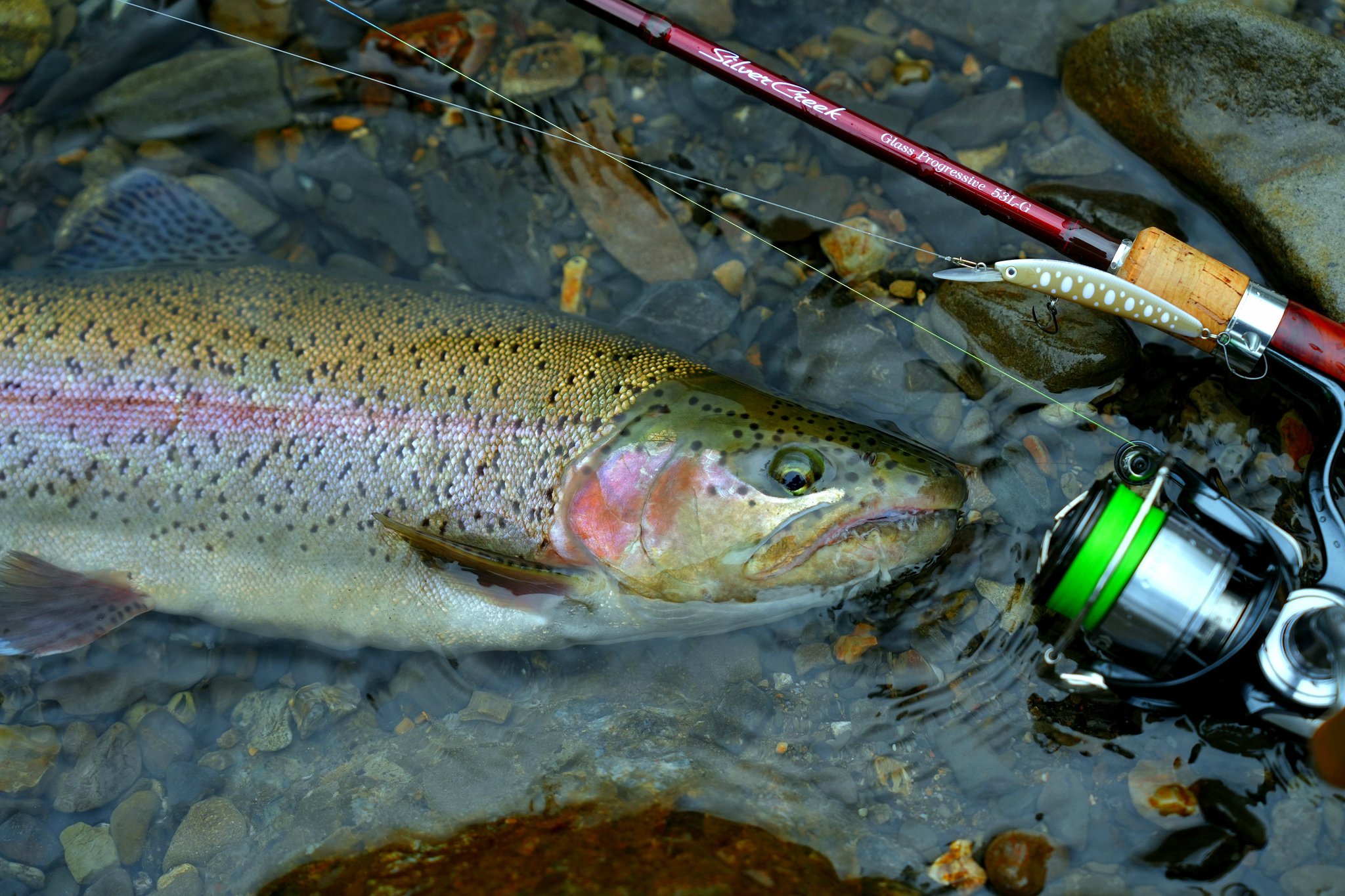 ダイワ(DAIWA) トラウトロッド Silver Creek(シルバークリーク ダイワ(DAIWA) トラウトロッド Silver Creek(シルバークリーク