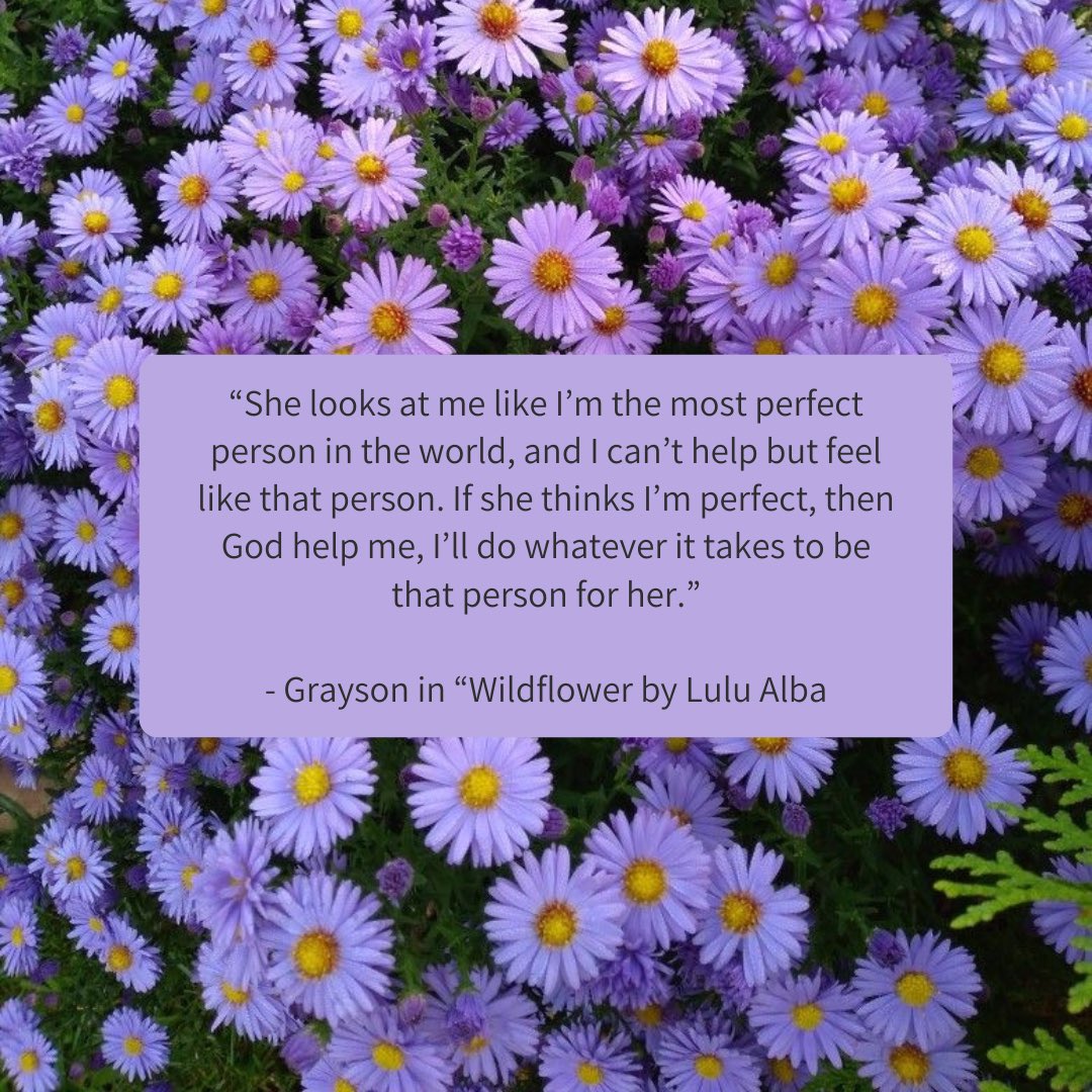 GILMORE GIRLS X PRACTICE MAKES PERFECT=WILDFLOWER, a romantic dramedy following longtime friends, Aurelia (a single mom) and Grayson. 

They’re terrified to ruin the friendship but when they do, drama (people) attempt to threaten and keep them apart.

#QuestPit #A #R #Q