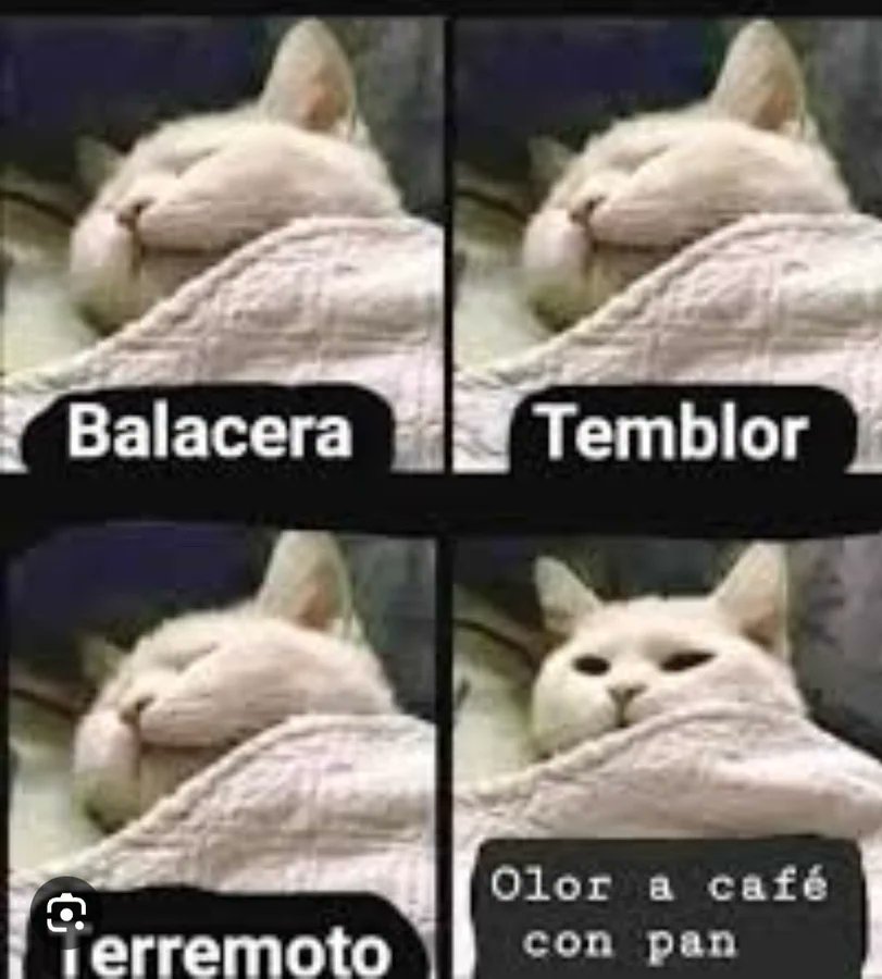chunchita1's tweet photo. Solo entré a ver donde fue la cagá de #temblor #sismo 🤣 https://t.co/tIBU7p3CrF