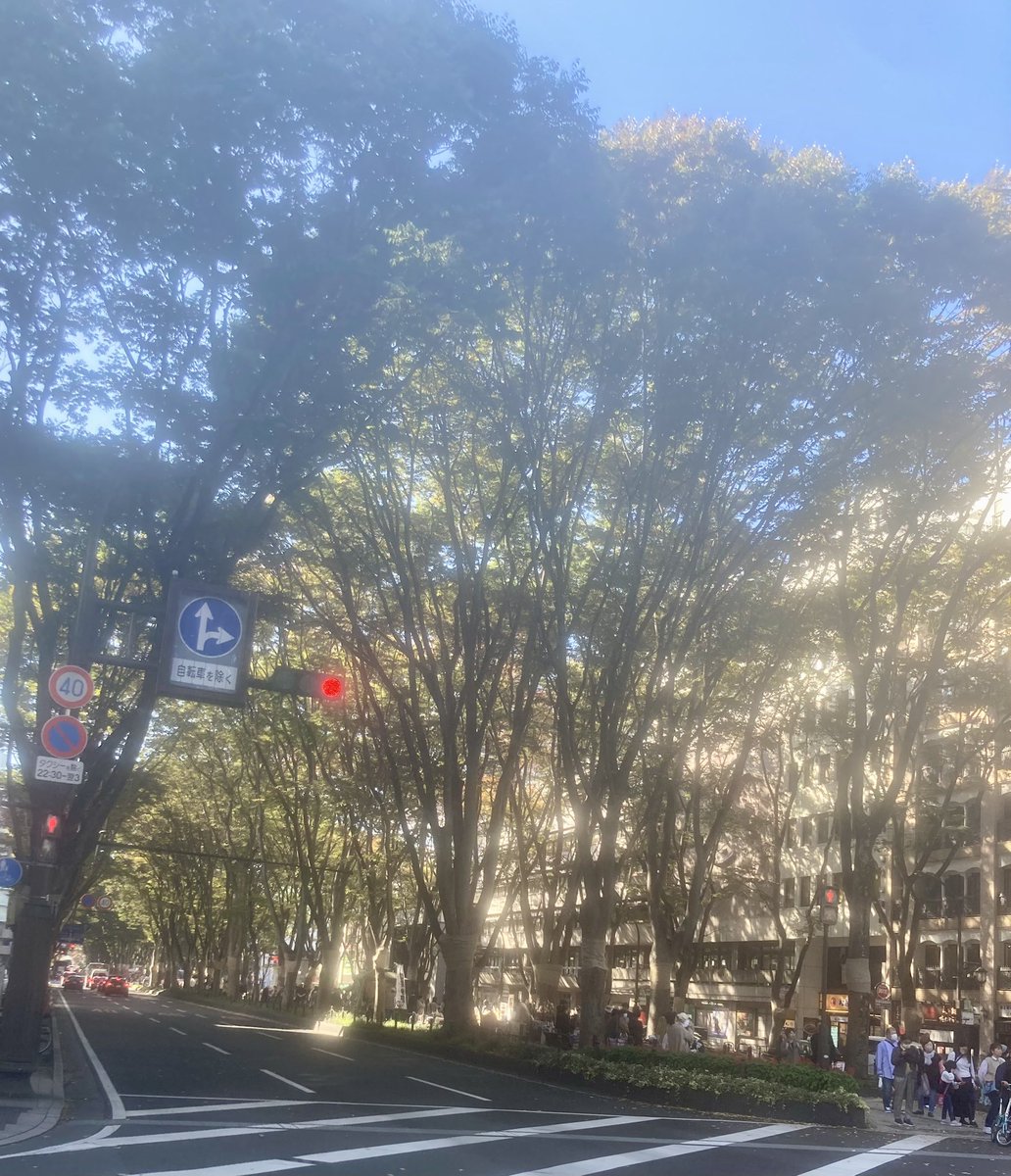たくさんのご来場ありがとうございます。おかげさまで、心地よい秋晴れです。16時まで開催しています。