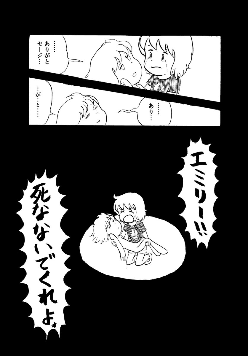 (5/5) 